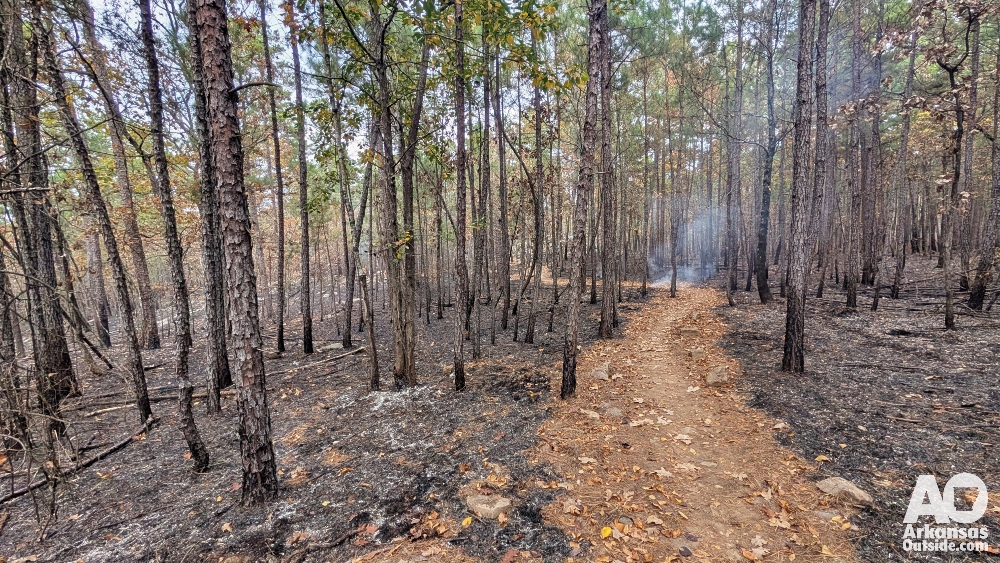 ARDOT Transportation Alternatives Program and Recreational Trails Program