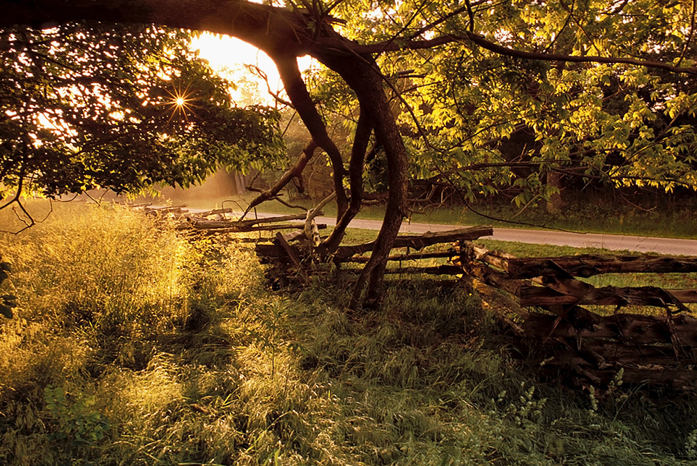 Pea Ridge prescribed burn