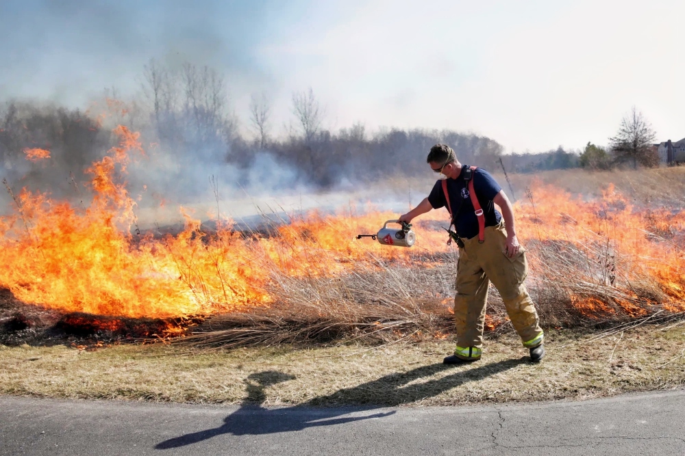 Professionally managed prescribed burn.