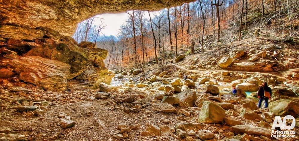 Cobb Cave at Lost Valley.