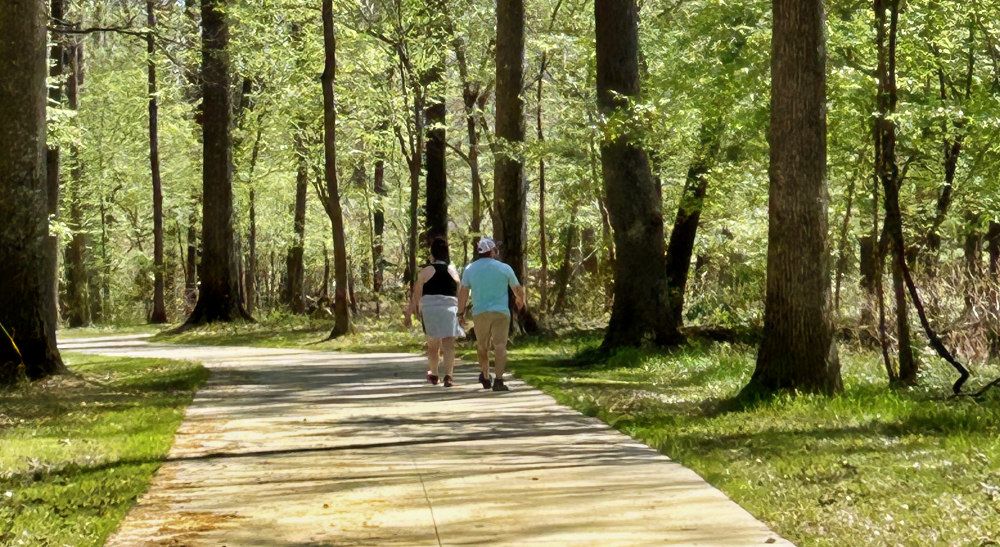 Owl Pass Trail Pinnacle Mountain State Park
