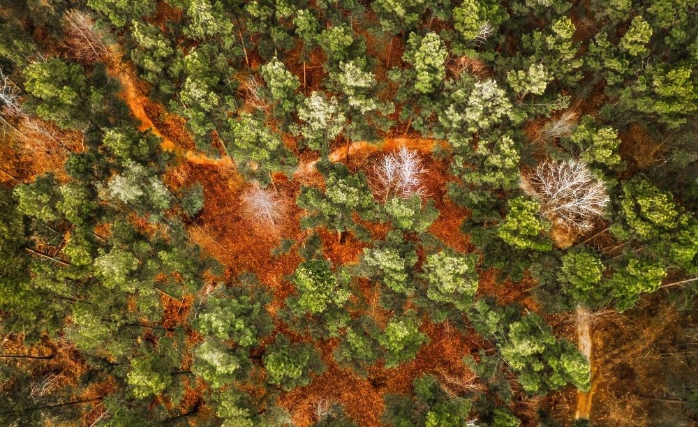 The Flow at Lakewoods Trails.