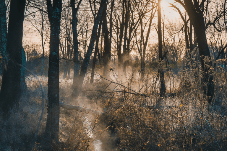 Northwest Arkansas Land Trust Navigational / Informational 1,000-2,400/mo Low