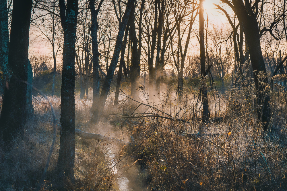 Northwest Arkansas Land Trust Navigational / Informational 1,000-2,400/mo Low