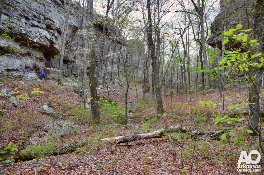Trail runner on Seven Hollows Trail, Petit Jean State Park.