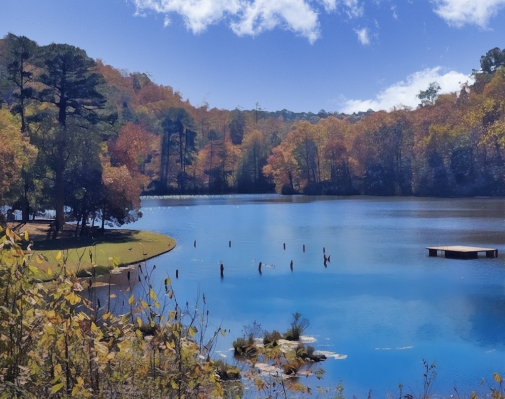 Shady Lake Recreation Area.