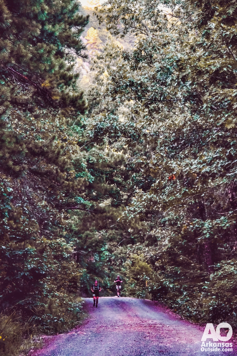 Ouachita National Forest near Lake Sylvia Recreation Area.