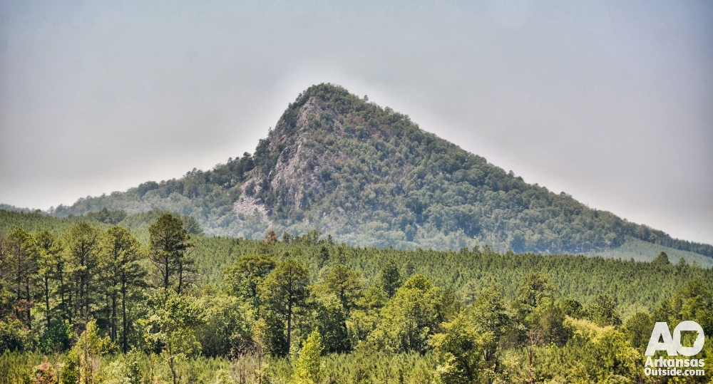 Forked Mountain, Ouachita National Forest.