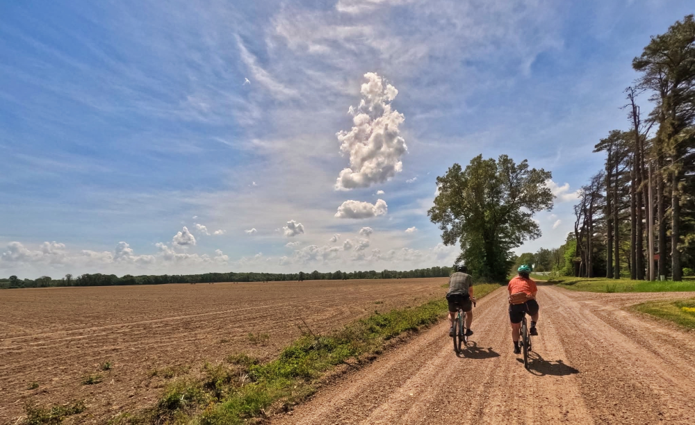 Riding Delta farmland.