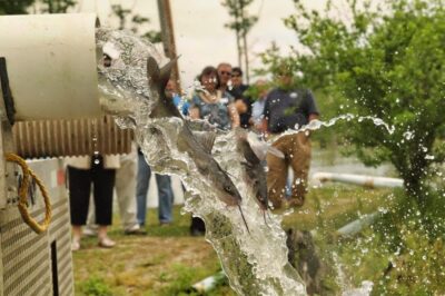 Arkansas fishing derbies 2026