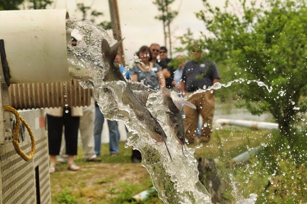 Arkansas fishing derbies 2026