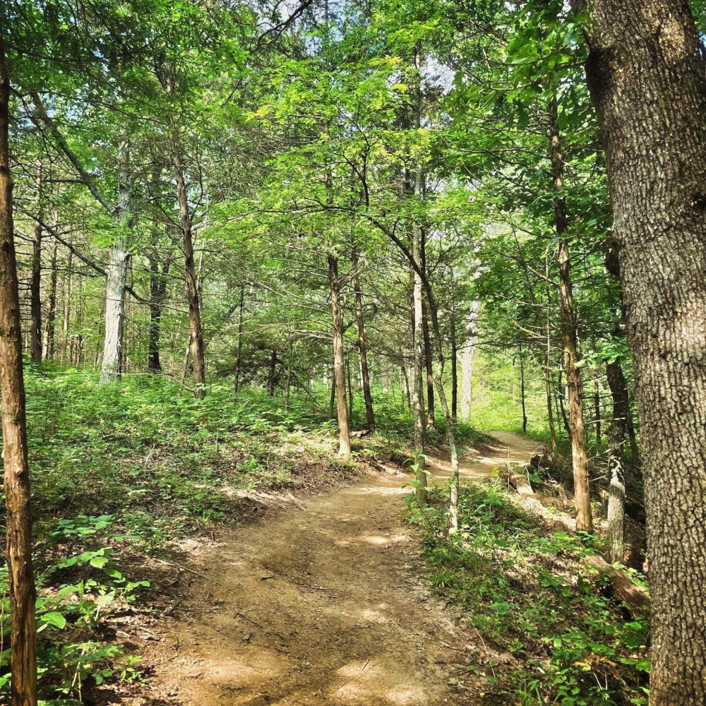 The trails at Mount Kessler.