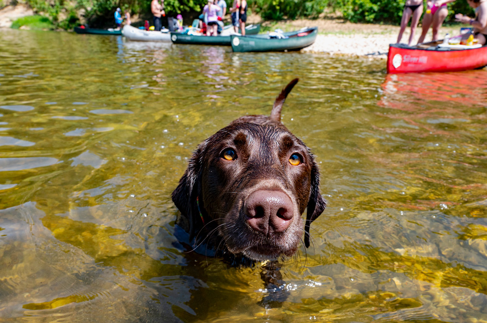 Swimming in the Buffalo National River.