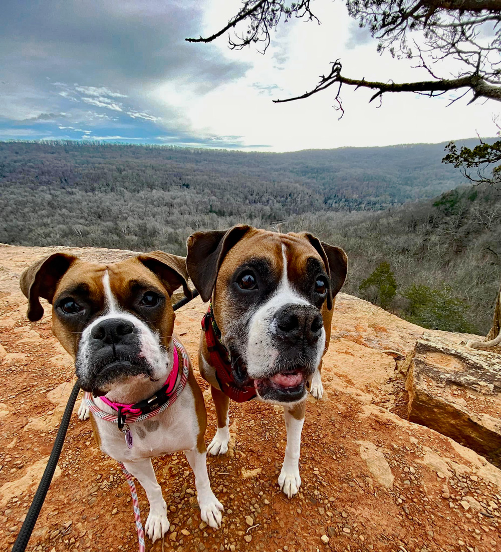 Hiking with pals at Devil's Den State Park.