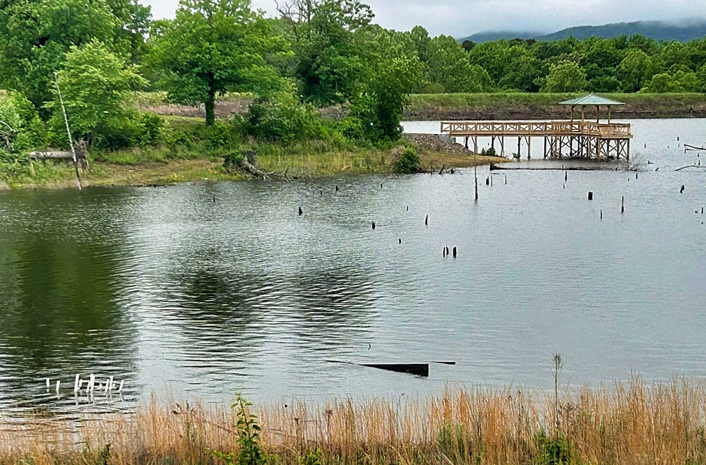 In addition to infrastructure repairs, workers loaded Lake Wilhelmina with fish attractors and complex habitat to benefit the fishery. AGFC photo. 