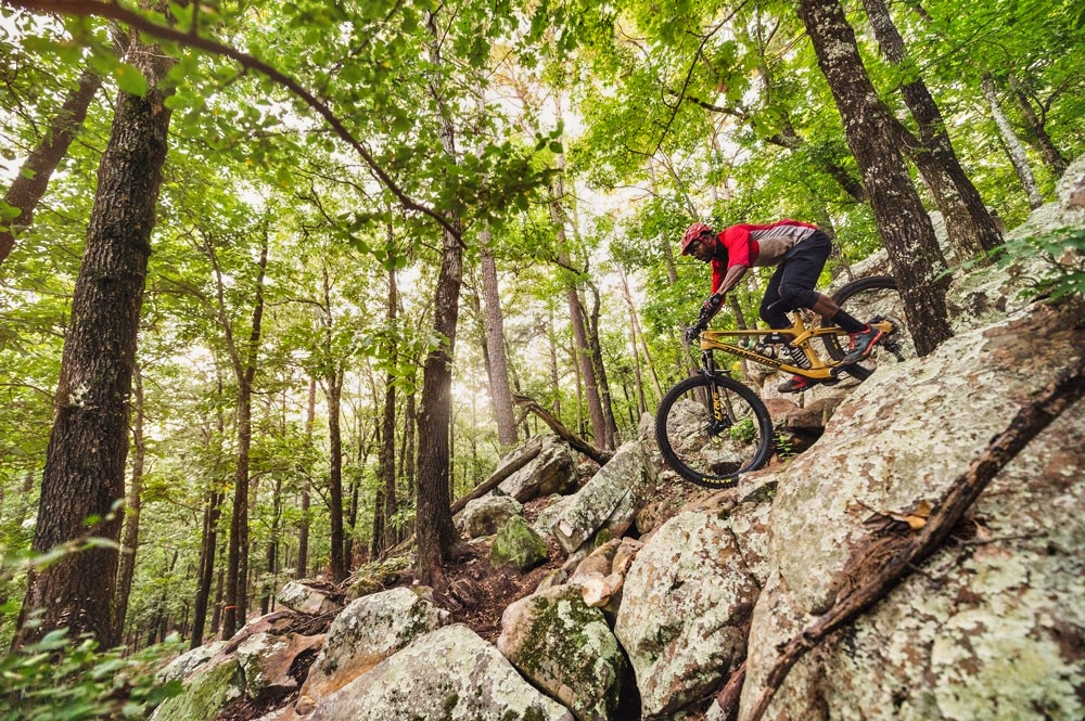 Pinnacle Mountain State Park.