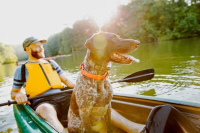 Protect dogs from summer heat in Arkansas