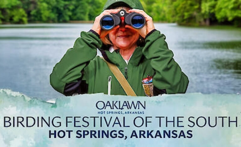 Birding Festival of the South