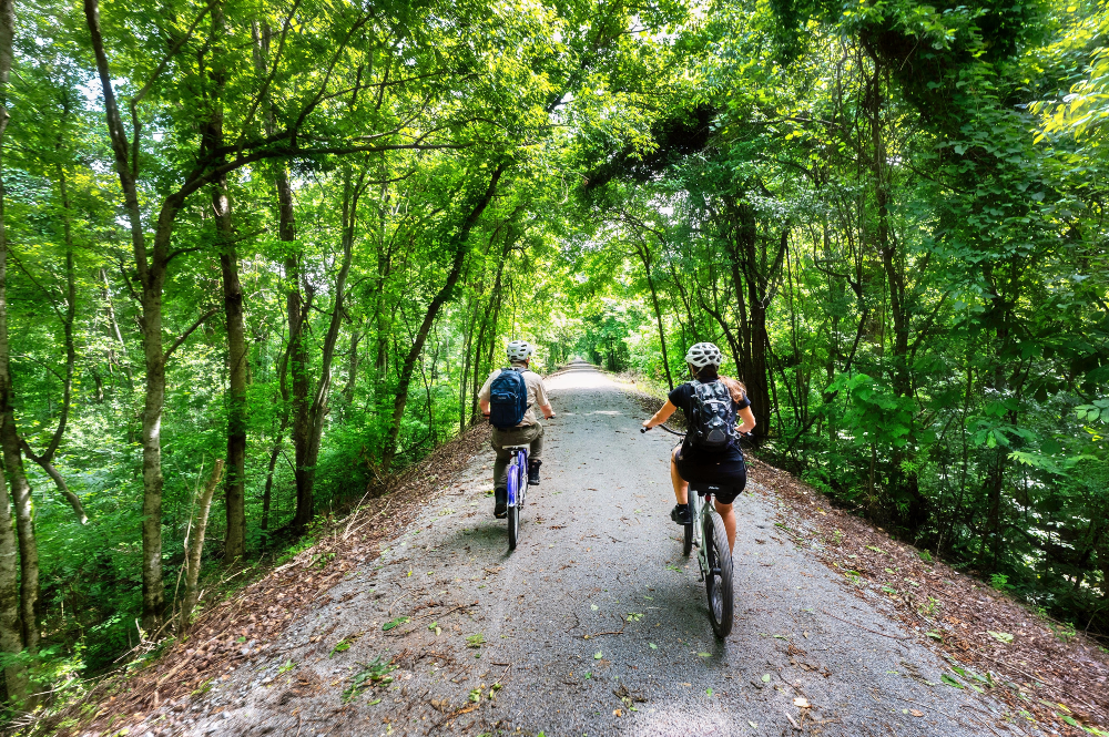 Tree covered, hard-packed, fine, gravel.