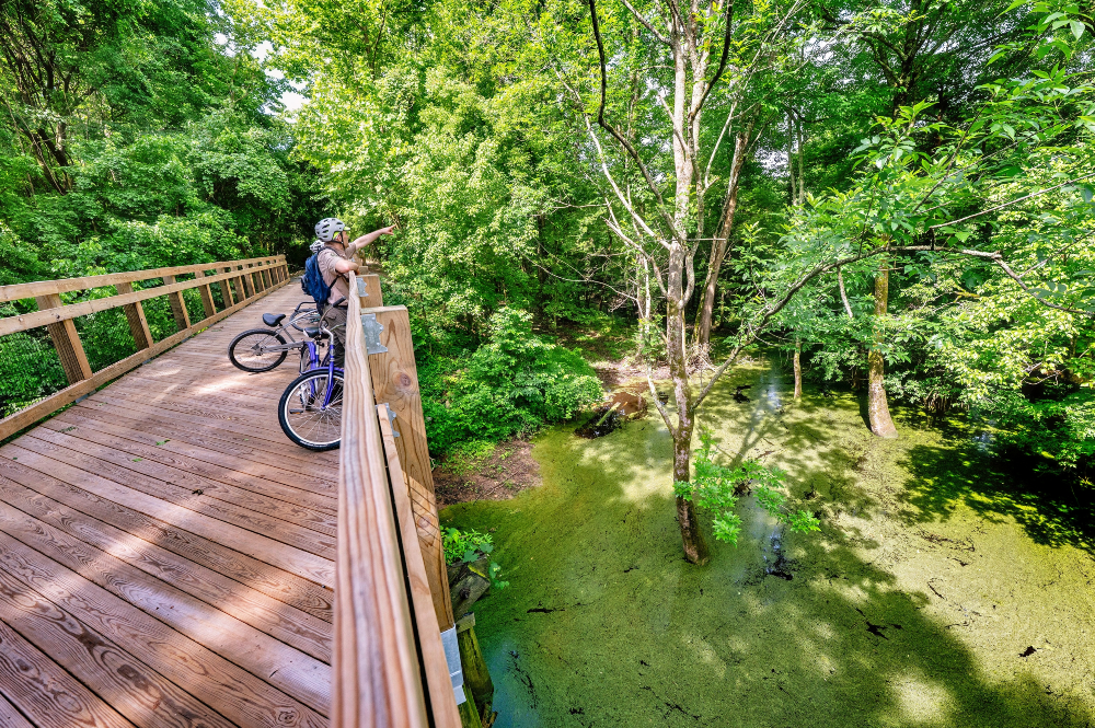 Trestle rides over the wetlands.