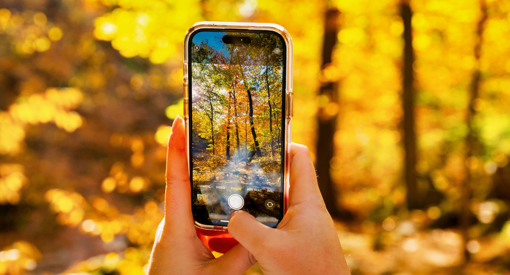 Best Arkansas adventure towns for a fall getaway