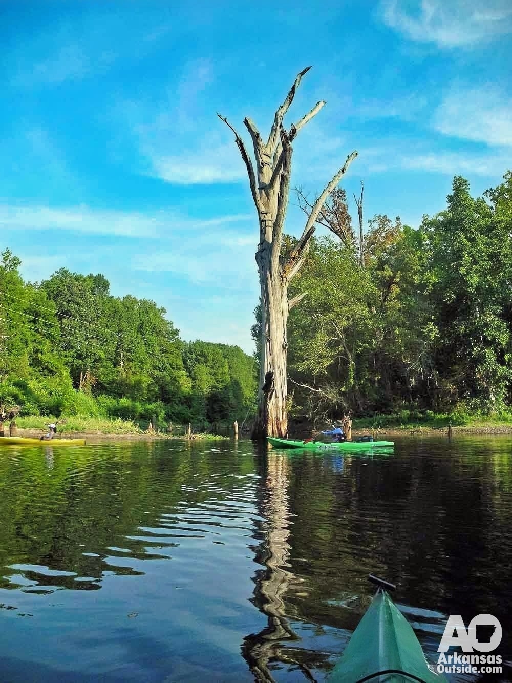 Look closely at the top to see where boards were nailed in to reach rope swings of the past.