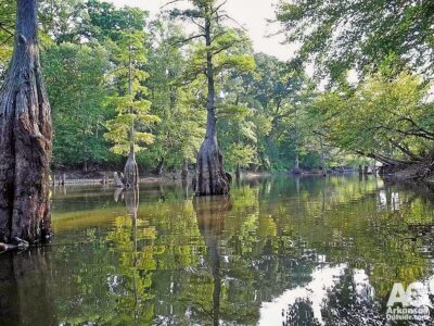Maumelle River kayaking