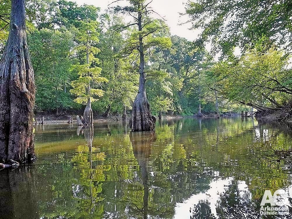 Maumelle River kayaking
