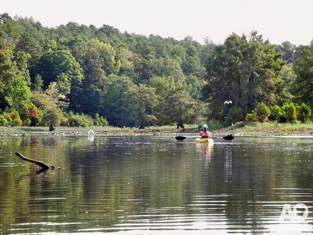 Chasing birds around the lake.
