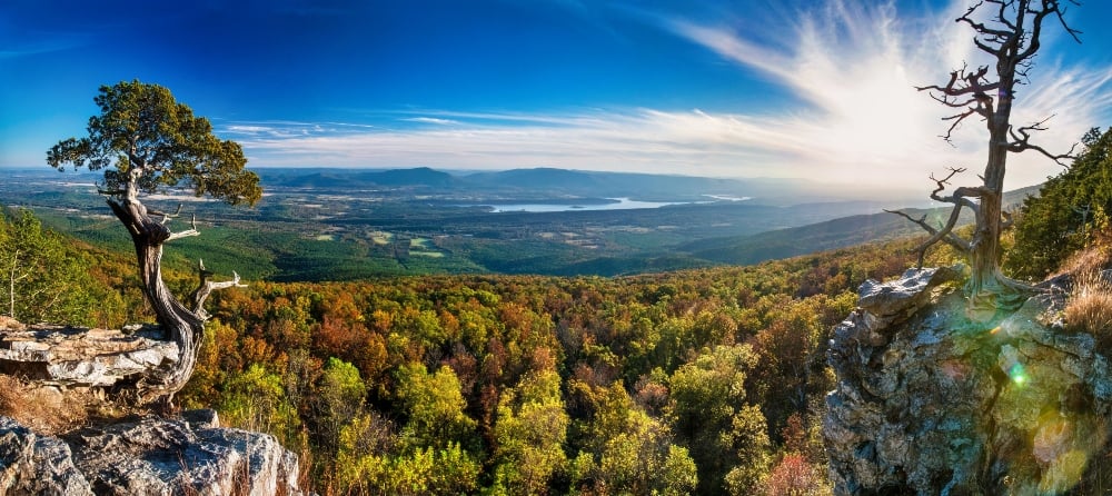 Iconic forest around Mount Magazine.