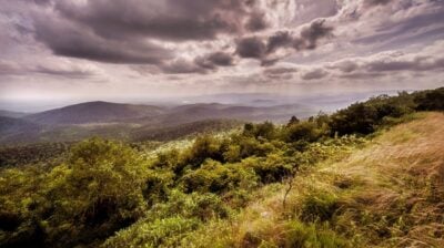 Forest Service proposed rule