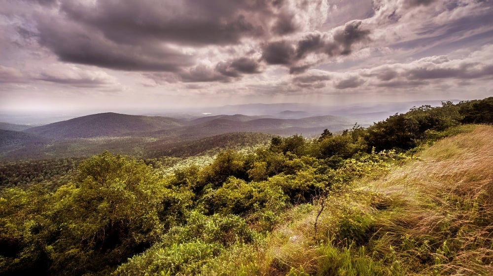 Forest Service proposed rule