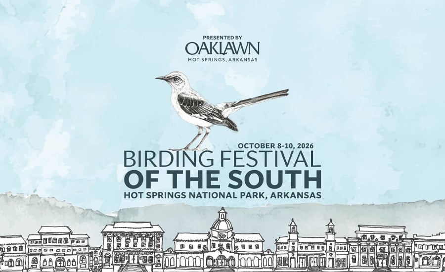 Birding Festival of the South