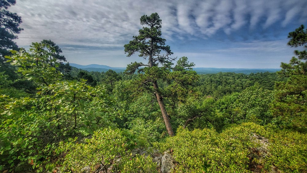 Blue Mountain Trails
