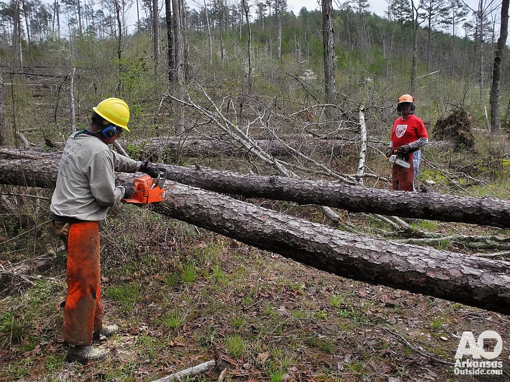 USFS qualified volunteers are instrumental in clearing fallen trees.