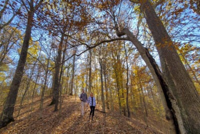 Arkansas fall color trails