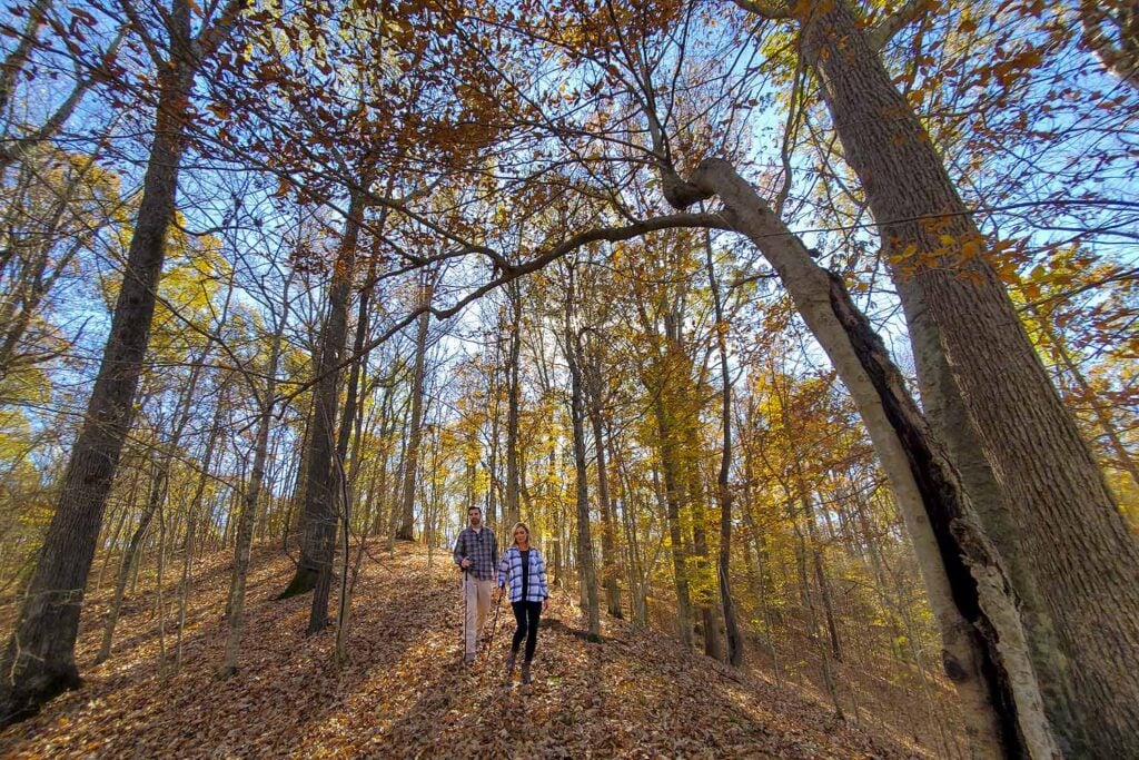 Village Creek State Park, near Wynne.