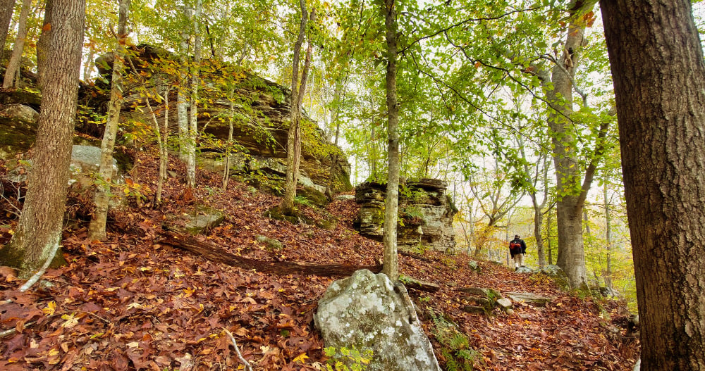 Hiking trail near Steele Creek on the Buffalo National River. (photo ADPHT)