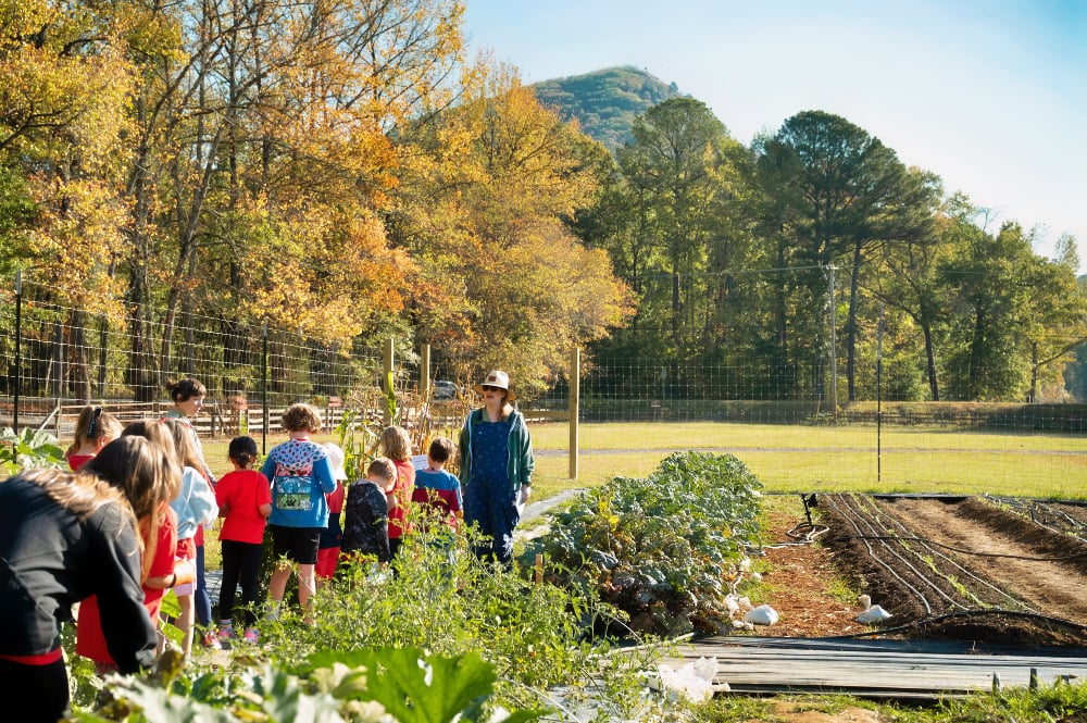 Apple Seeds Expands Outdoor Education at Butterfield House