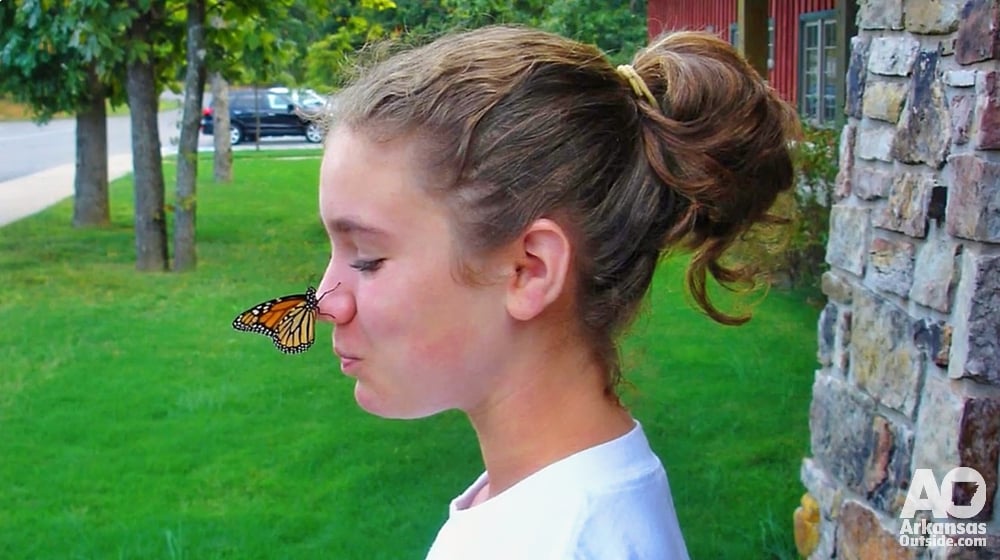 Monarch Butterfly release at Mount Magazine State Park.