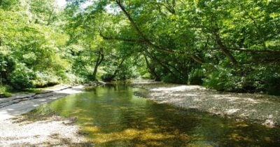 Northwest Arkansas Land Trust CEO
