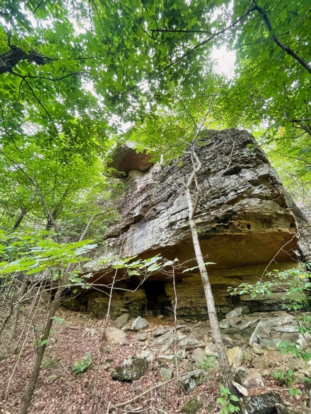 Bluff shelter on the Patterson-Oulette Conservation Easement. -Northwest Arkansas Land Trust