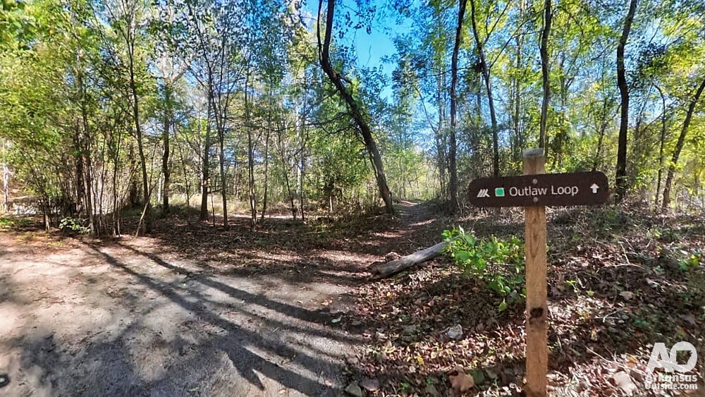 Follow the signs for the Outlaw Loop at the Fossil Flats Trailhead.