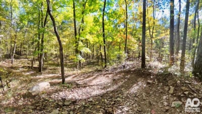 Fossil Flats Trail: Arkansas Mountain Biking History